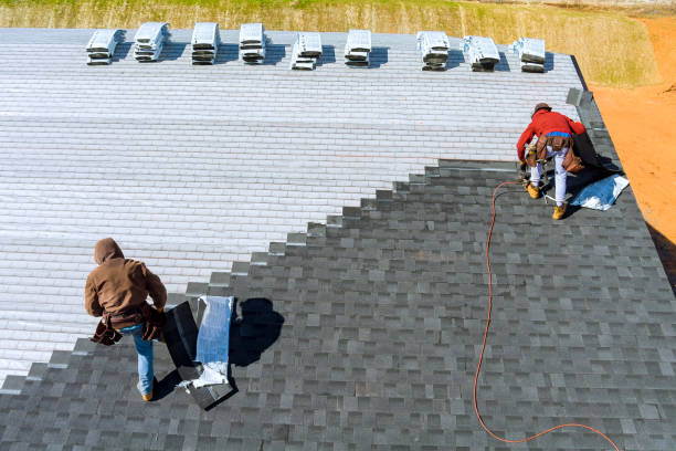 Best Roof Repair Services  in Marion, KY