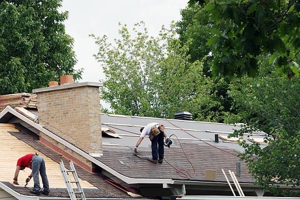 Best Residential Roofing Contractor  in Marion, KY