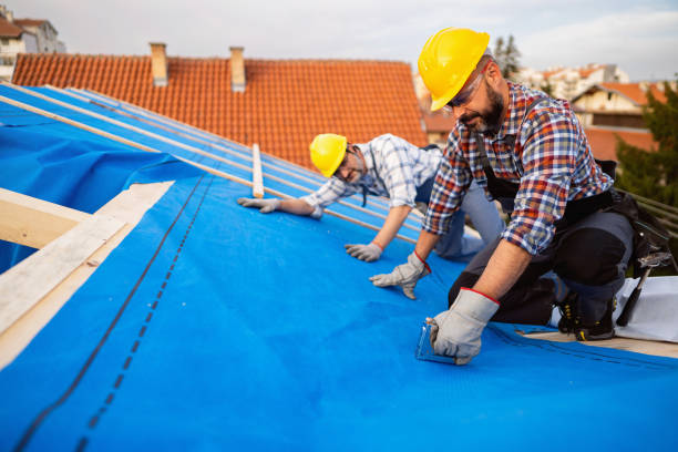 Best Roof Gutter Cleaning  in Marion, KY