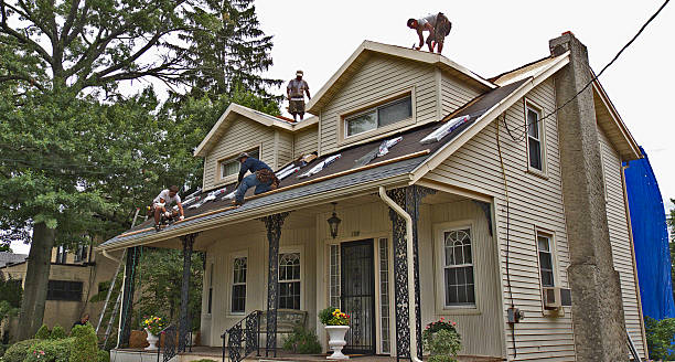 Best Flat Roof Repair Services  in Marion, KY