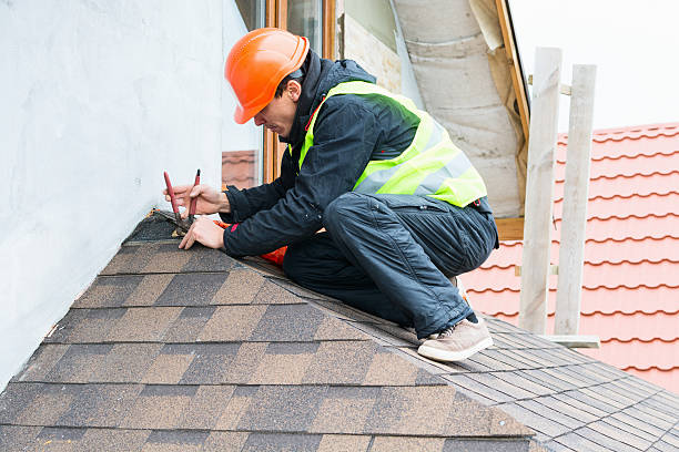 Best Roof Gutter Cleaning  in Marion, KY